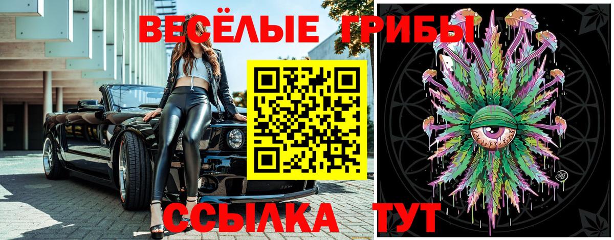 Галлюциногенные грибы Psilocybine cubensis  Псилоцибиновые грибы GOLDEN TEACHER  Новочеркасск  Вход с VPN 